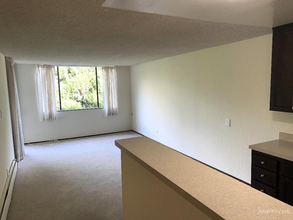 Lower Pacific Heights/Japantown 1bd w/pkg avail