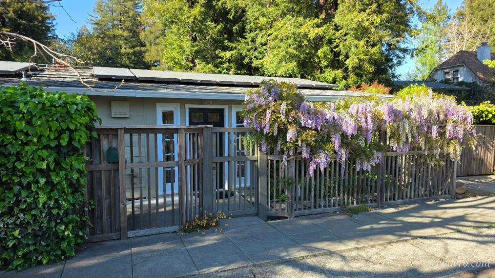 Nicely Updated 2 bed/1 bath